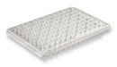 RigiShell 96 Well PCR Plate, Semi-Skirted, ABI style with A12 cut corner
