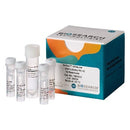 NxSeq™ UltraLow DNA Library Kit v2