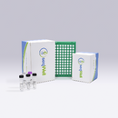 LongPlex Long Fragment Multiplexing Kit