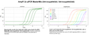 AmpFi 2x qPCR MasterMix