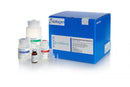 DNA Blood Kit