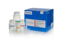 RNA Tissue Kit II
