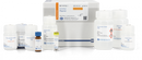 NucleoMag Plasmid