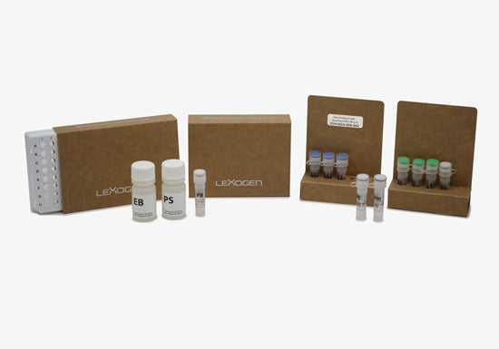 Library Quant Kit QuantSeq 3’ mRNA-Seq V2 Library Prep Kit FWD with UDI 12 nt Set A1 – DMark