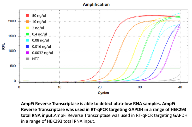AmpFi cDNA Synthesis Kit