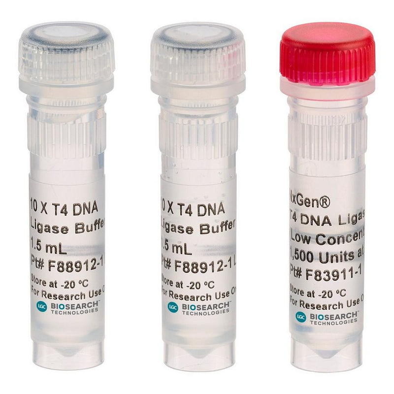 NXGEN T4 DNA LIGASE HIGH CON