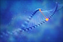 NEW DNA CleanUp  Kit for 50 x 100µl samples
