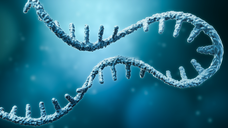 CRISPR cloning vector, pCLIP-gRNA-hCMV-ZsGreen, Glycerol stock, species n/a