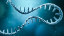 CRISPR TGS, pCLIP-gRNA-hCMV-Puromycin, Virus (100ul 10^8), species Human