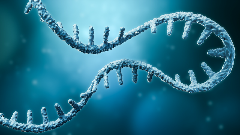 NucleoSpin 8 RNA Blood